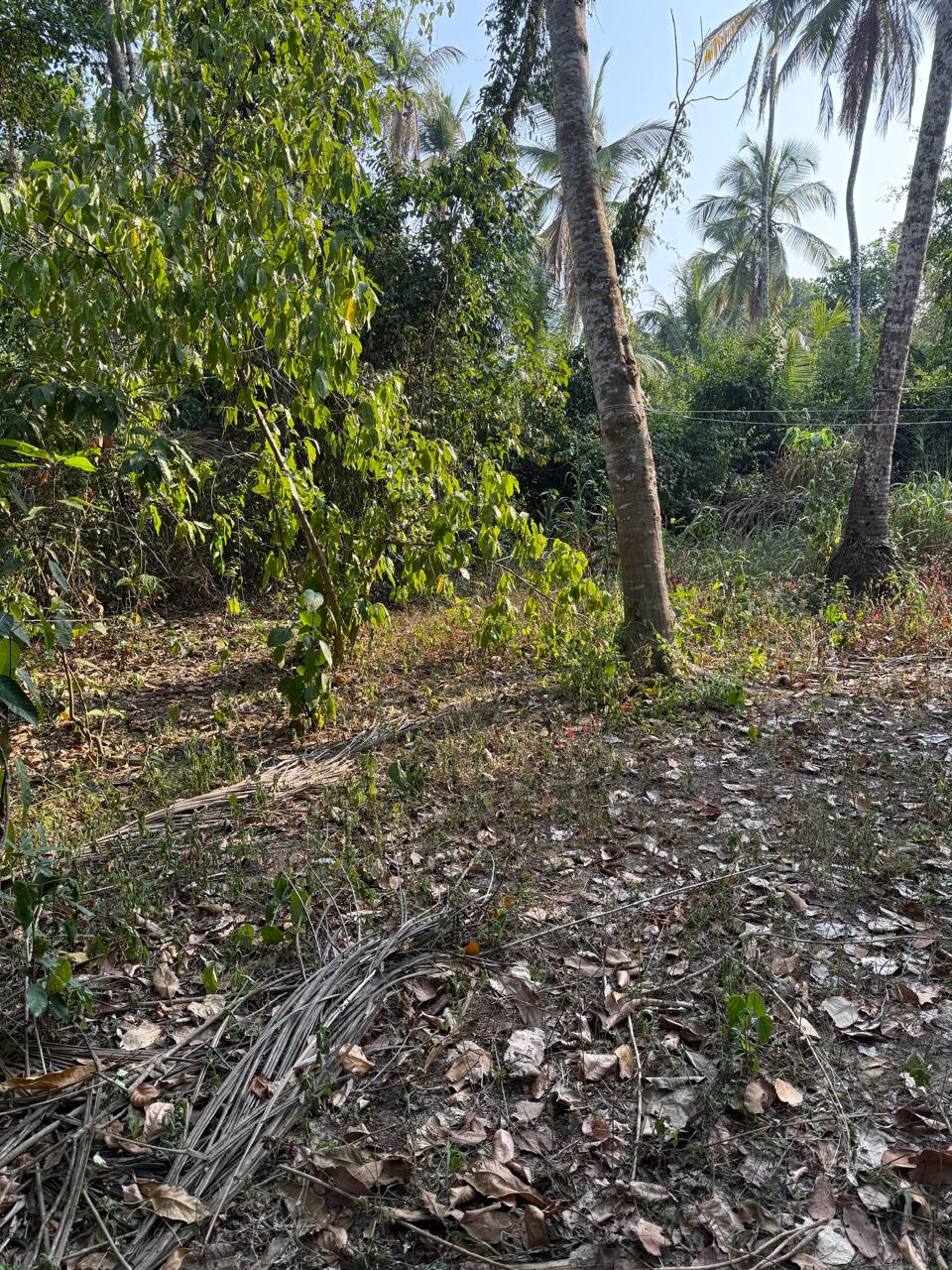 Land for Sale Ganemulla