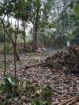 Land for Sale Ganemulla