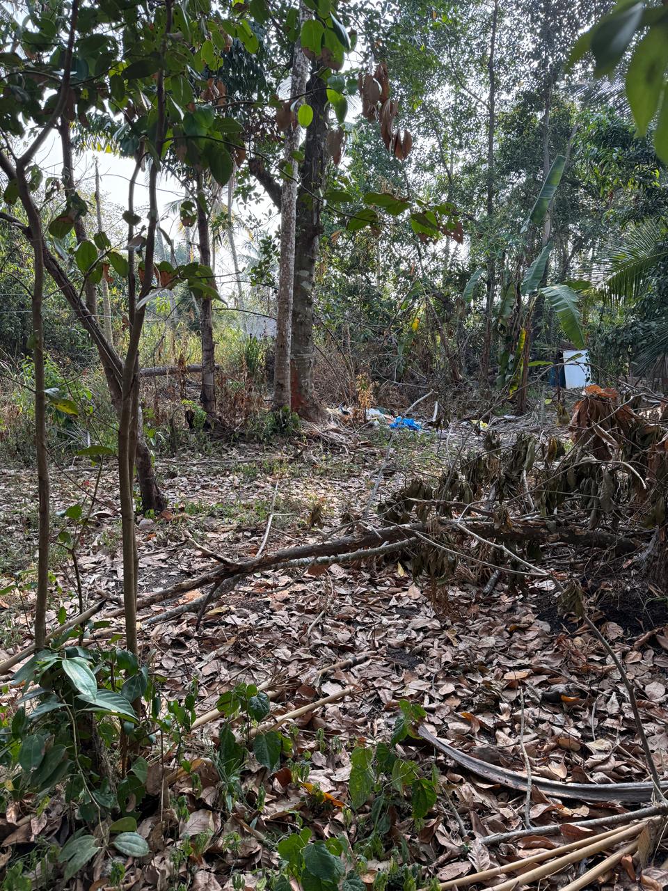 Land for Sale Ganemulla