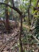 Land for Sale Ganemulla