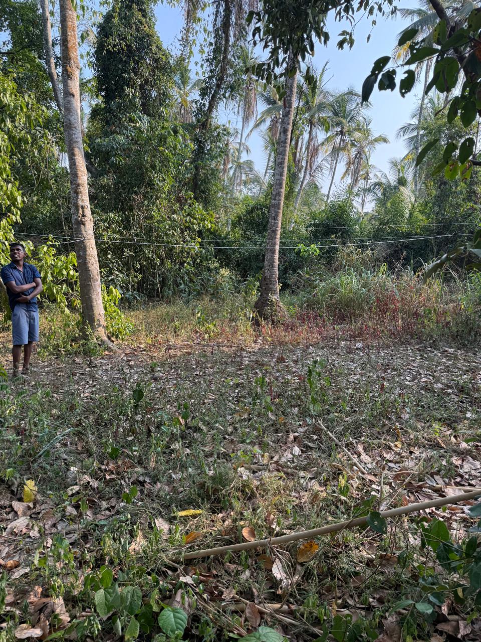 Land for Sale Ganemulla