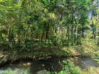 Land for Sale in Kumarigama