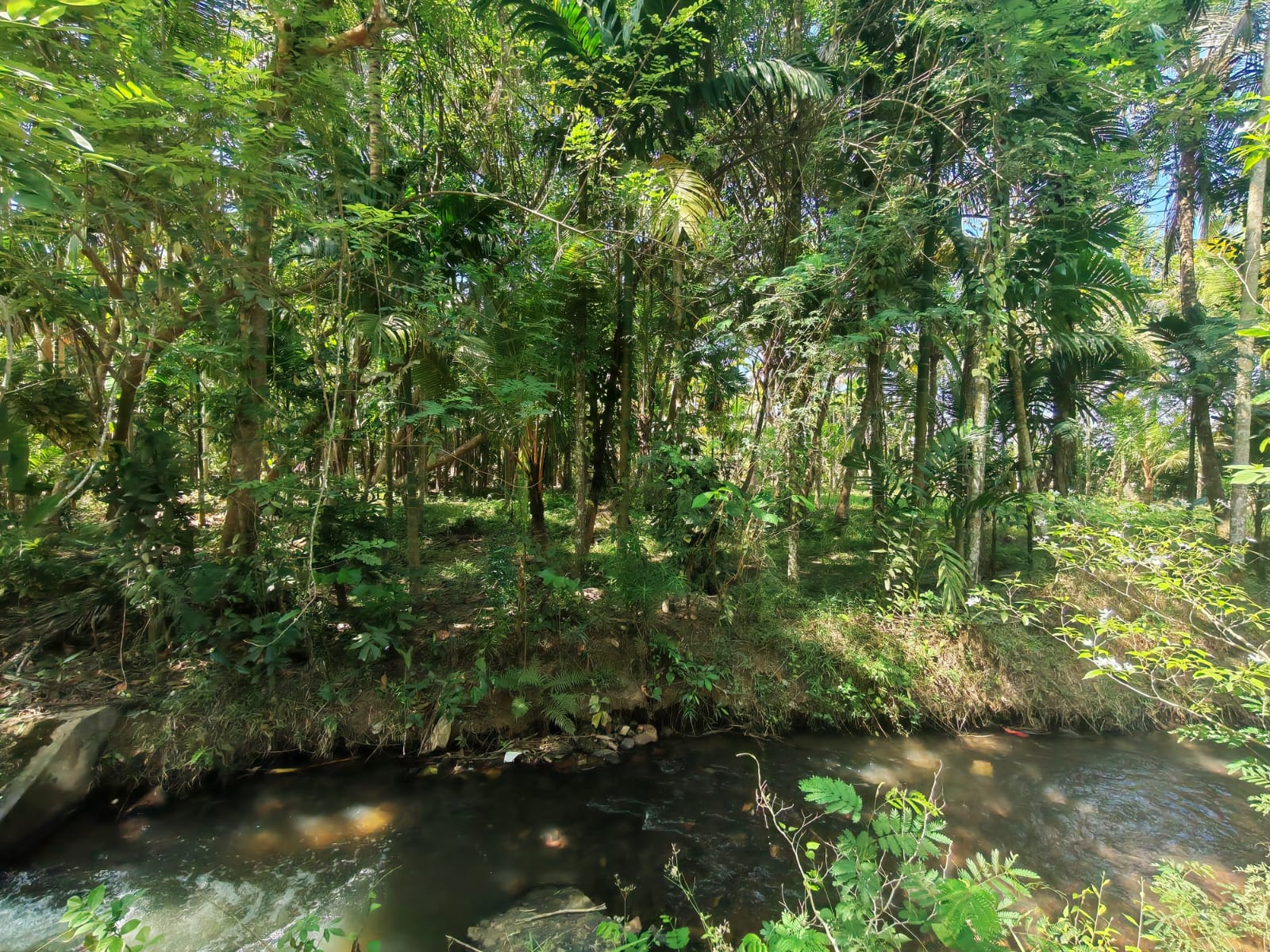 Land for Sale in Kumarigama