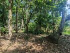 Land for Sale in Kumarigama