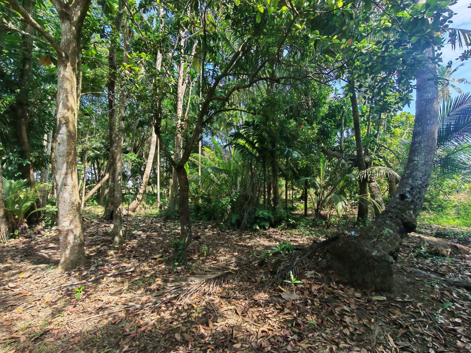 Land for Sale in Kumarigama
