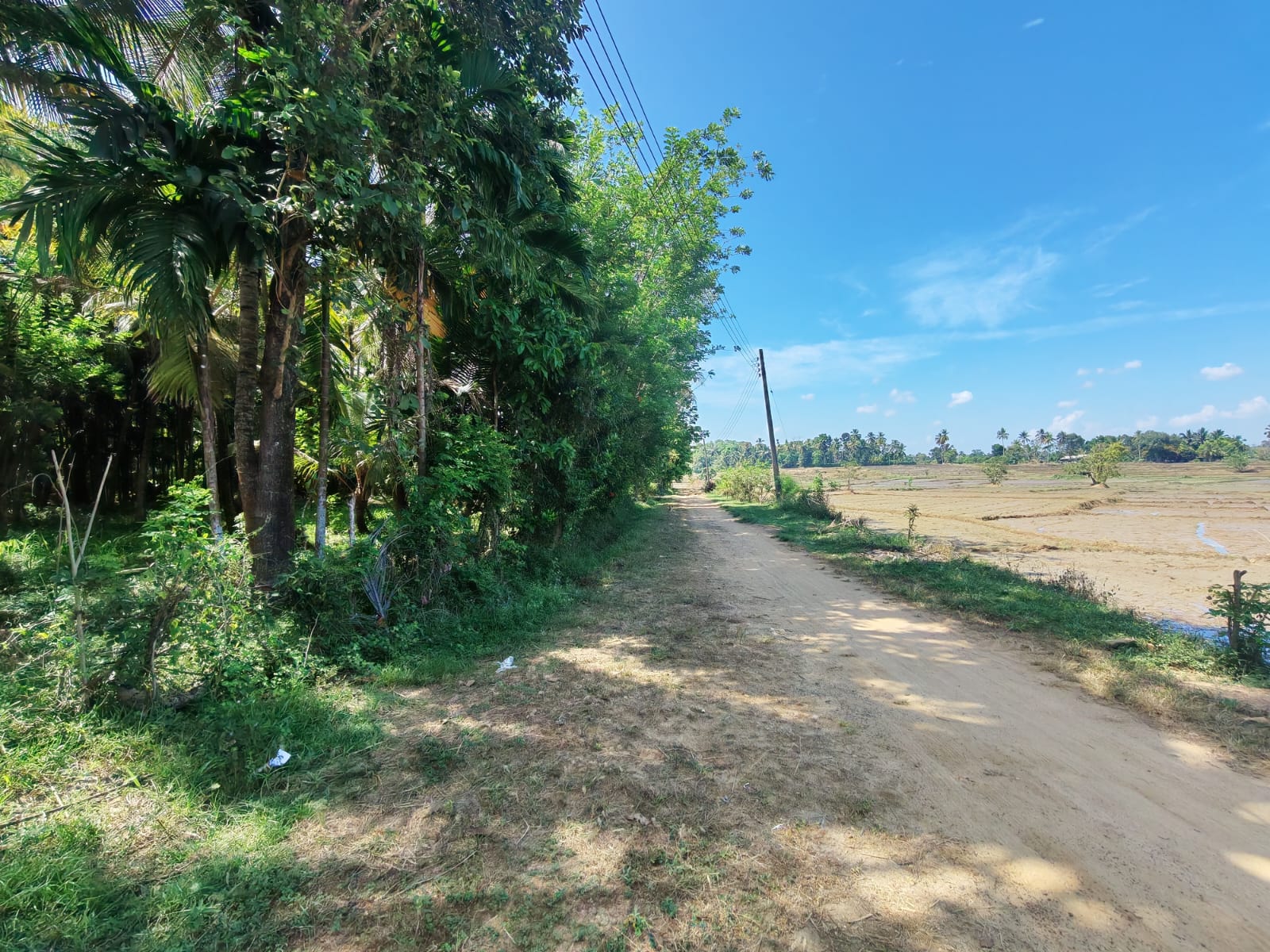 Land for Sale in Kumarigama