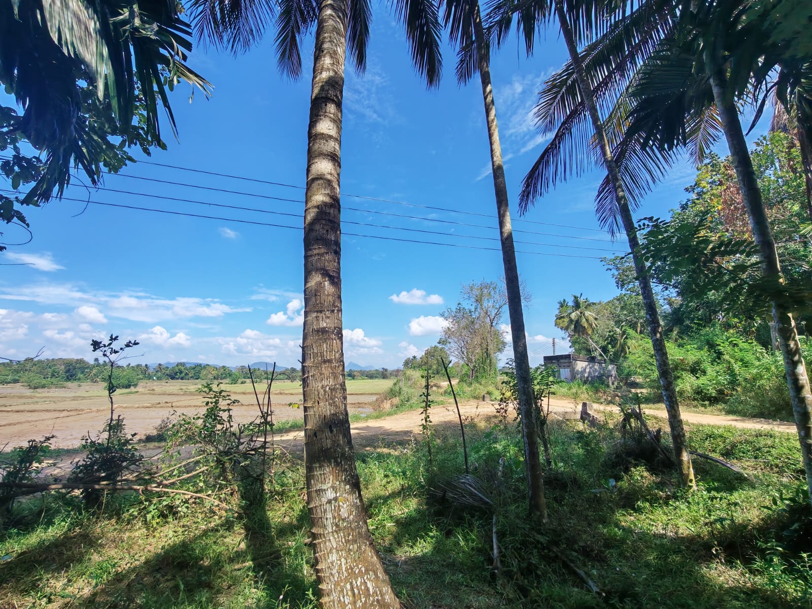 Land for Sale in Kumarigama