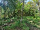Land for Sale in Kumarigama