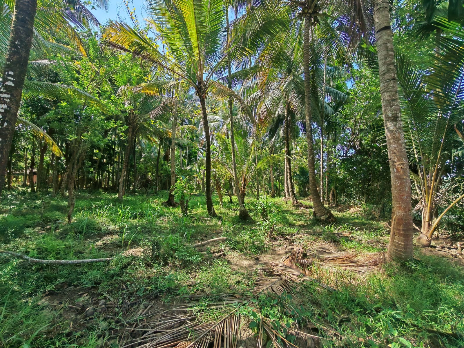 Land for Sale in Kumarigama