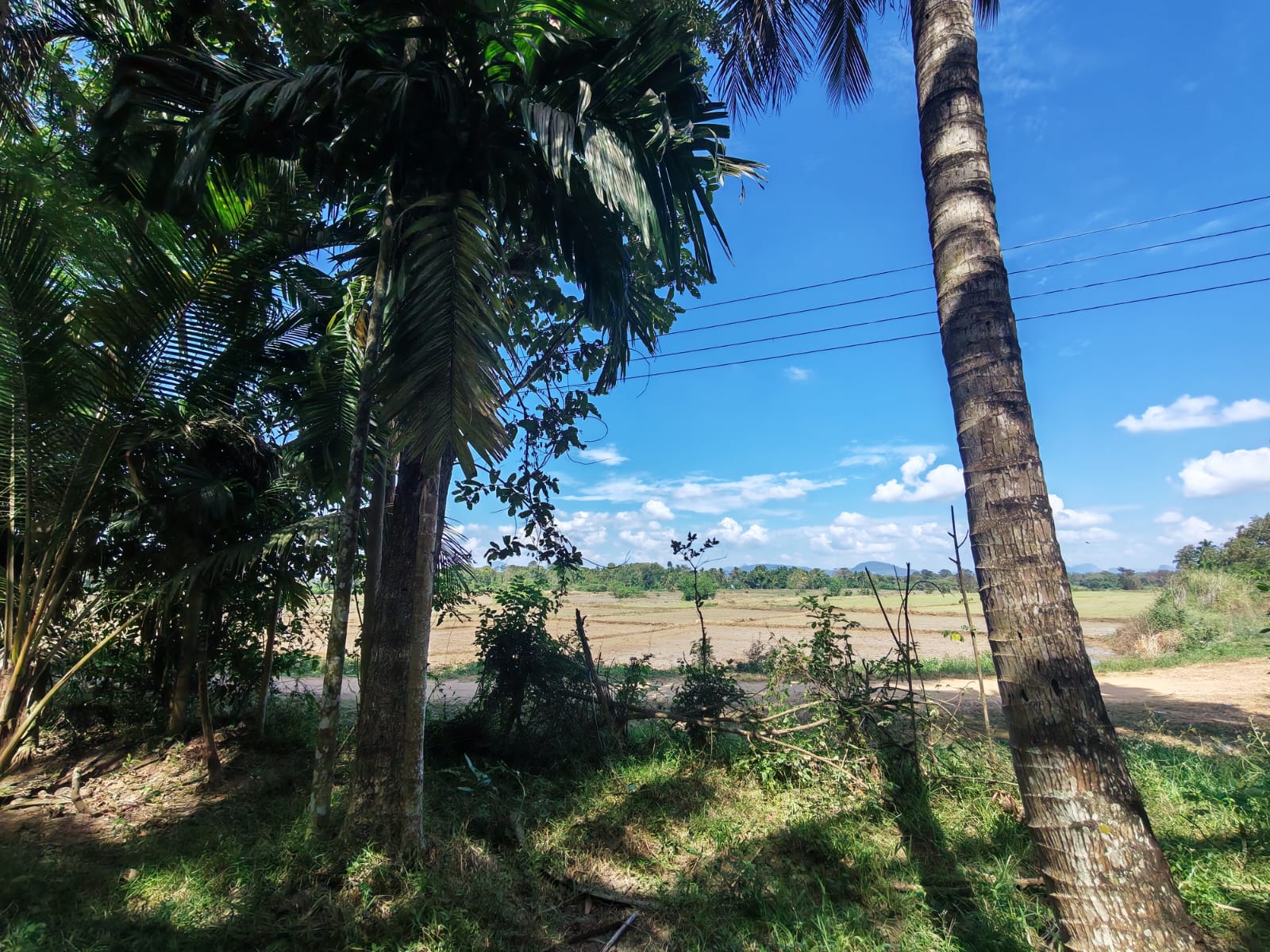 Land for Sale in Kumarigama