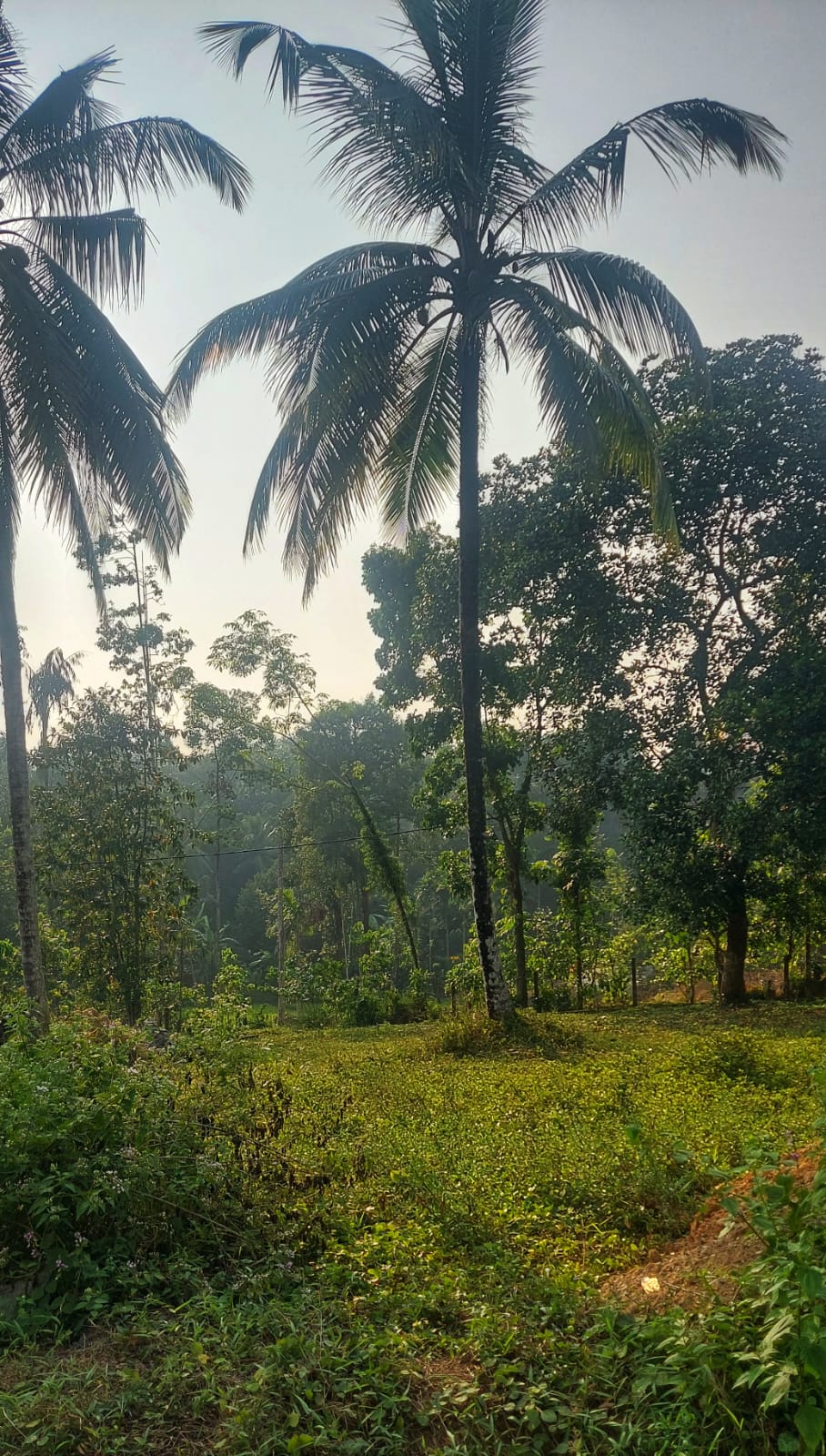 Land for Sale in Homagama- Berukatiya