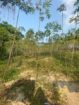 40 Perch Land for Sale Kirindiwela
