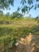 40 Perch Land for Sale Kirindiwela