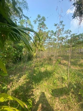 40 Perch Land for Sale Kirindiwela