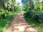 Land For sale In Biyagama , Dompe