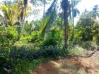 Land For sale In Biyagama , Dompe