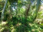 Land For sale In Biyagama , Dompe