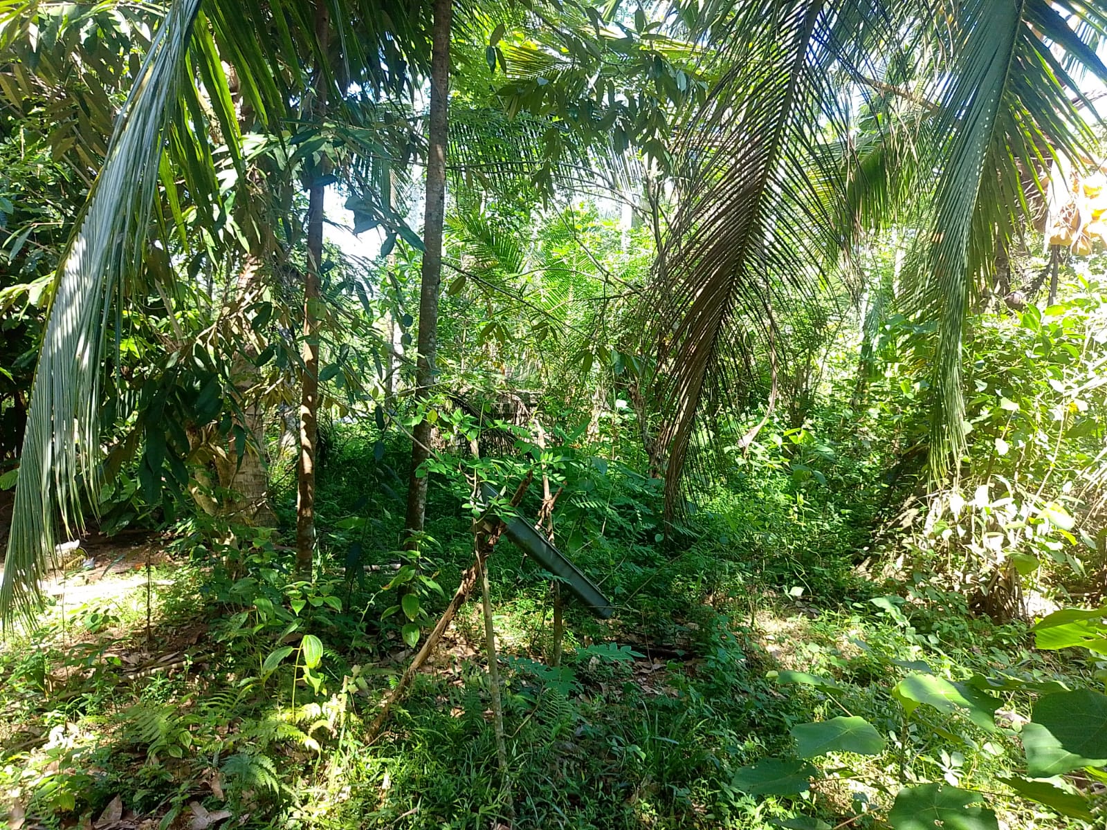 Land For sale In Biyagama , Dompe