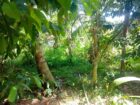Land For sale In Biyagama , Dompe