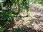Land For sale In Biyagama , Dompe