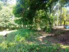 Land For sale In Biyagama , Dompe