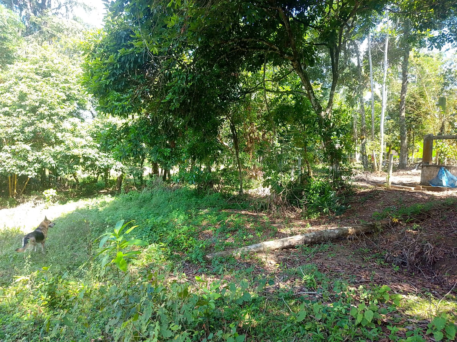 Land For sale In Biyagama , Dompe