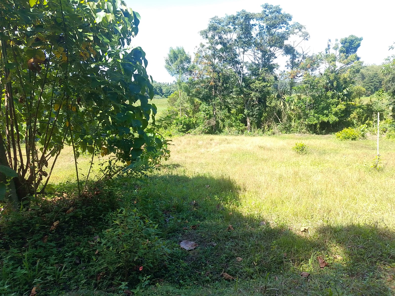 Land For sale In Biyagama , Dompe