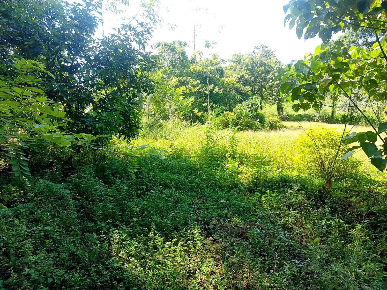 Land For sale In Biyagama , Dompe