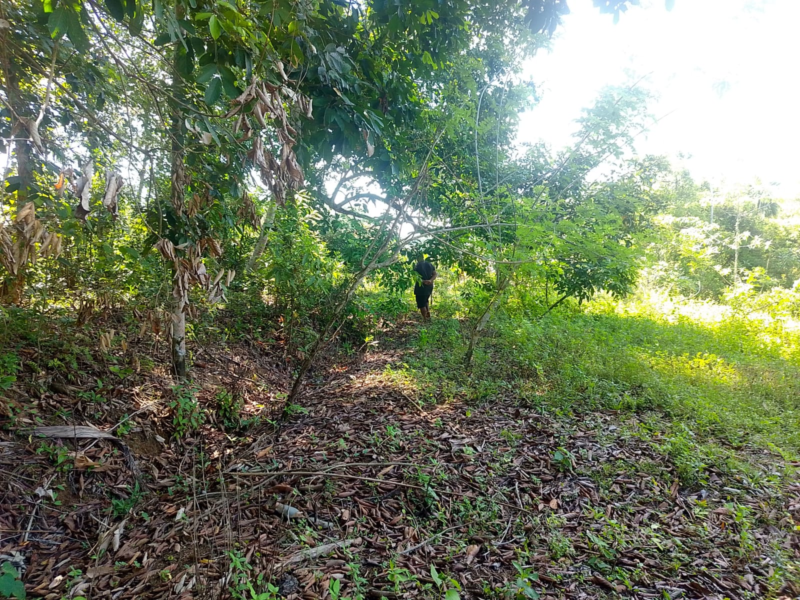 Land For sale In Biyagama , Dompe