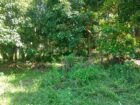Land For sale In Biyagama , Dompe