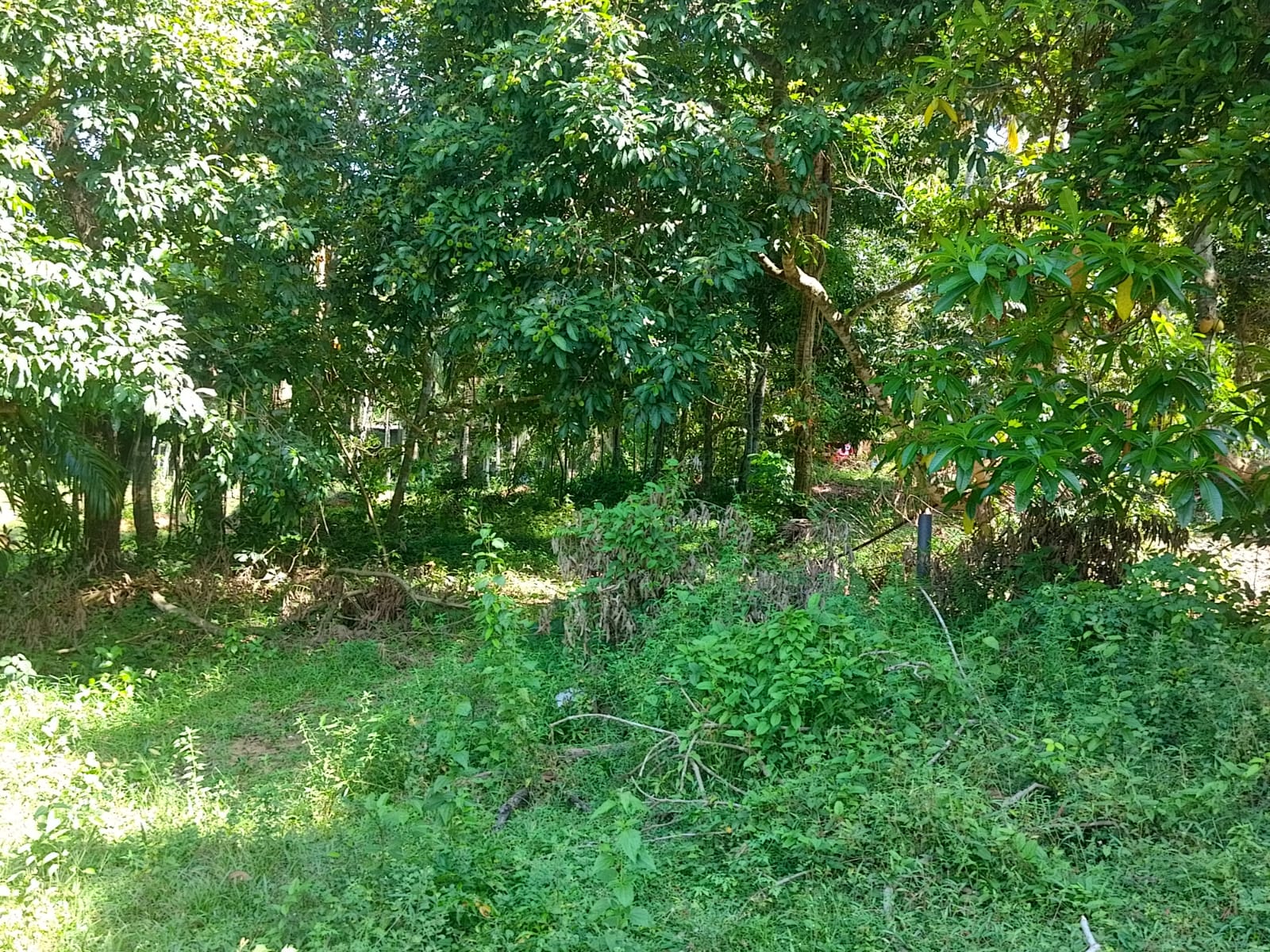 Land For sale In Biyagama , Dompe