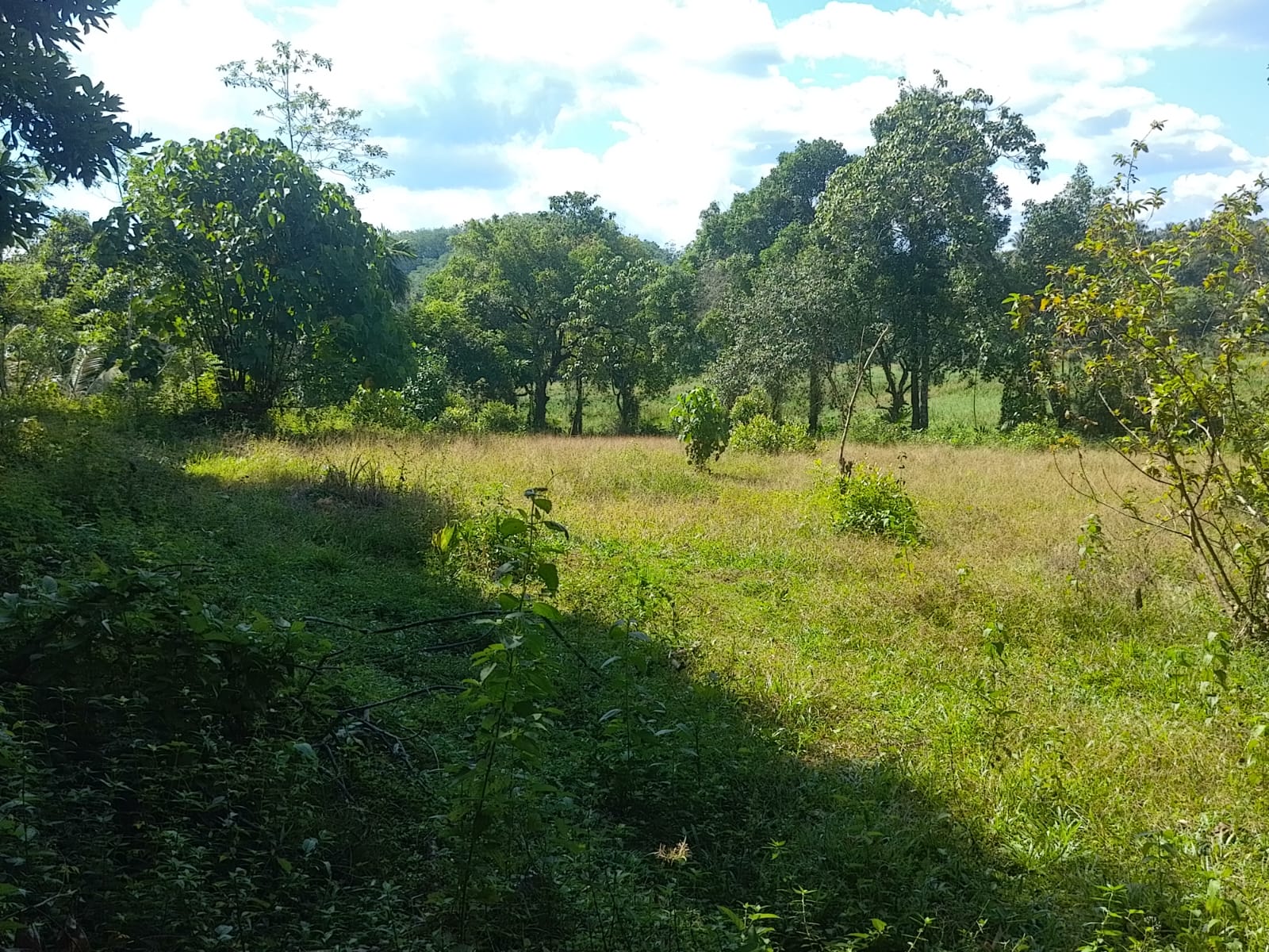 Land For sale In Biyagama , Dompe