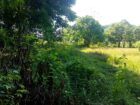 Land For sale In Biyagama , Dompe