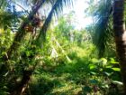 Land For sale In Biyagama , Dompe