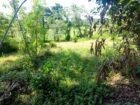 Land For sale In Biyagama , Dompe