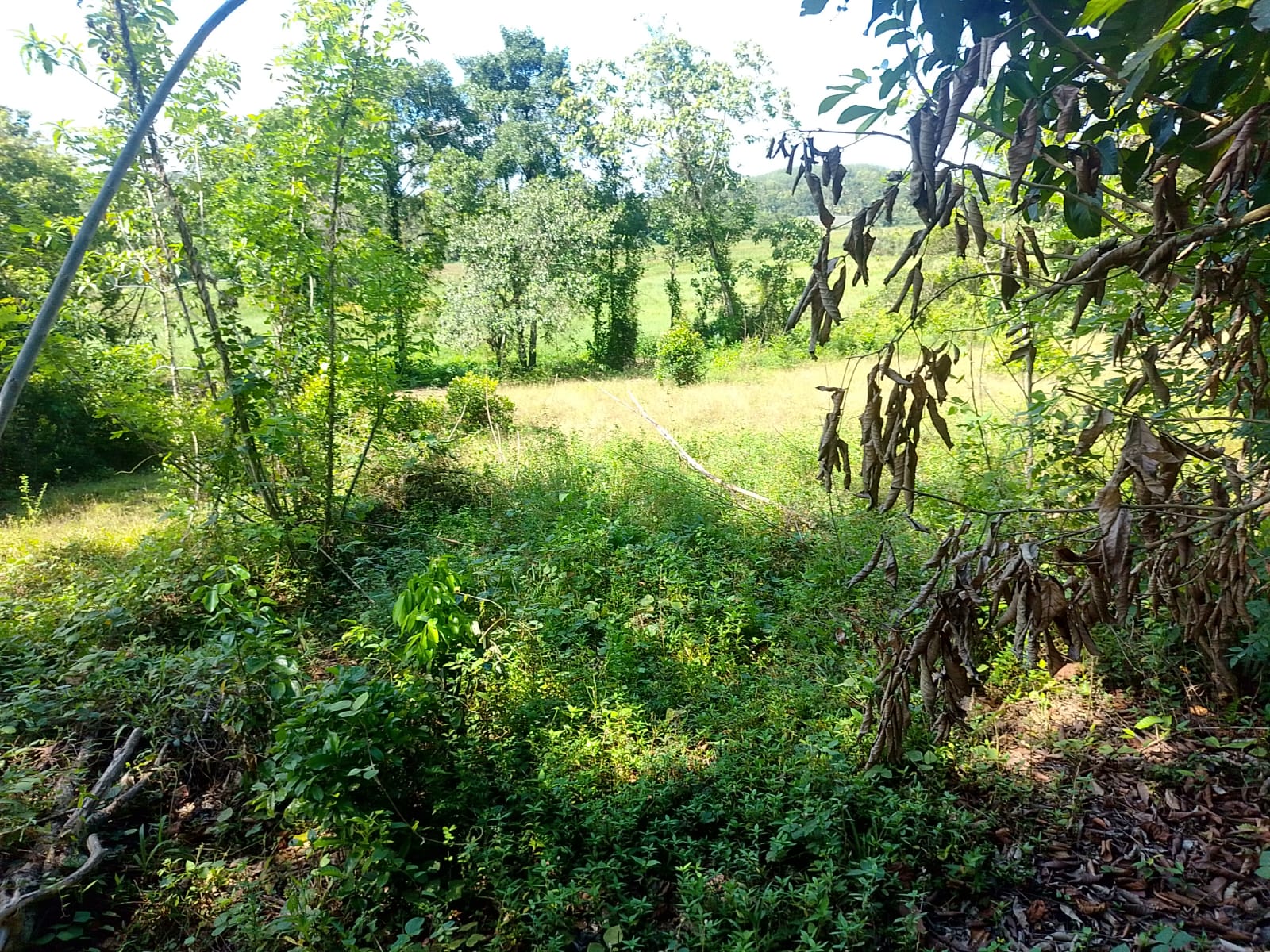 Land For sale In Biyagama , Dompe