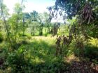 Land For sale In Biyagama , Dompe