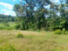 Land For sale In Biyagama , Dompe