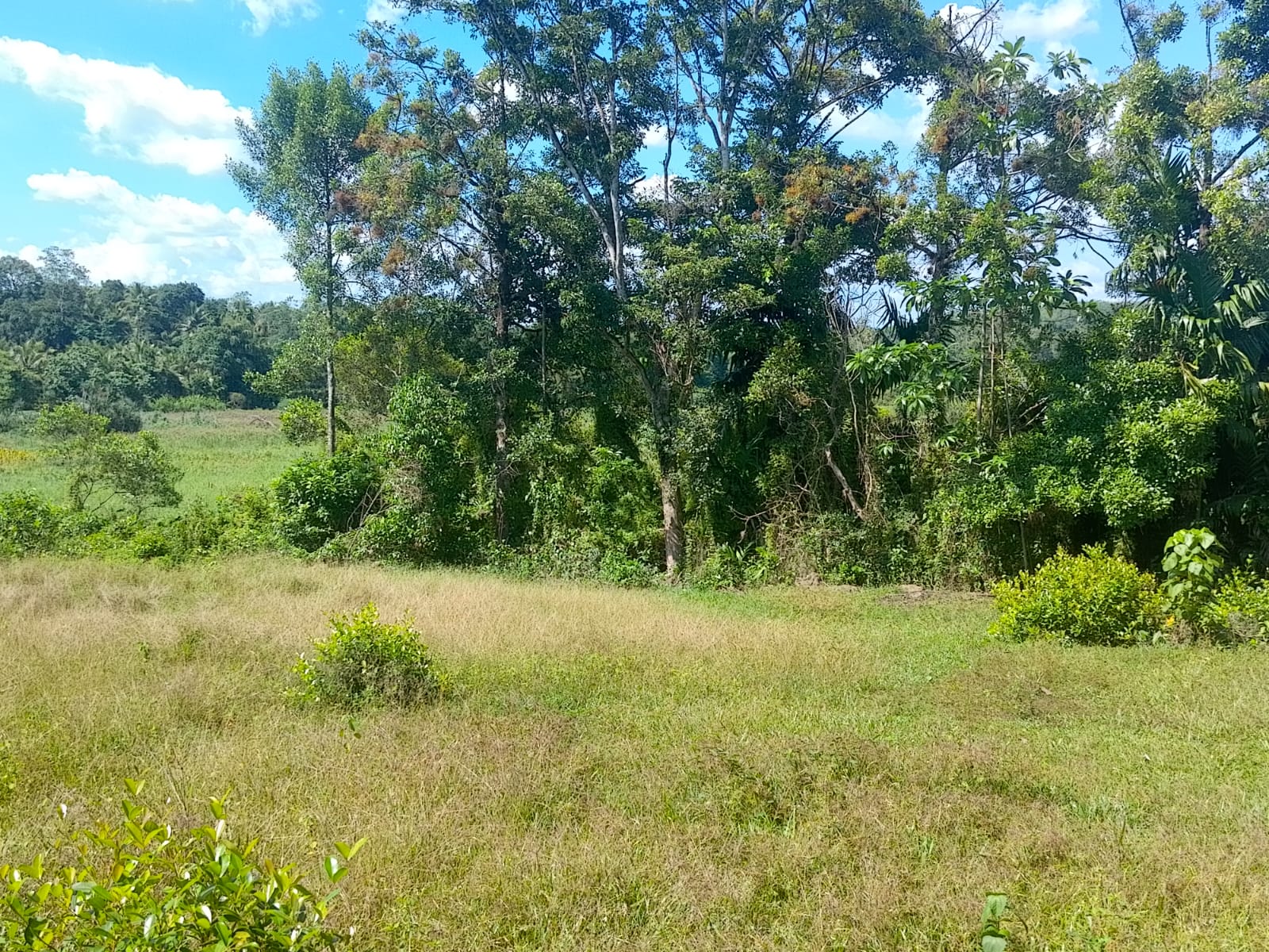 Land For sale In Biyagama , Dompe