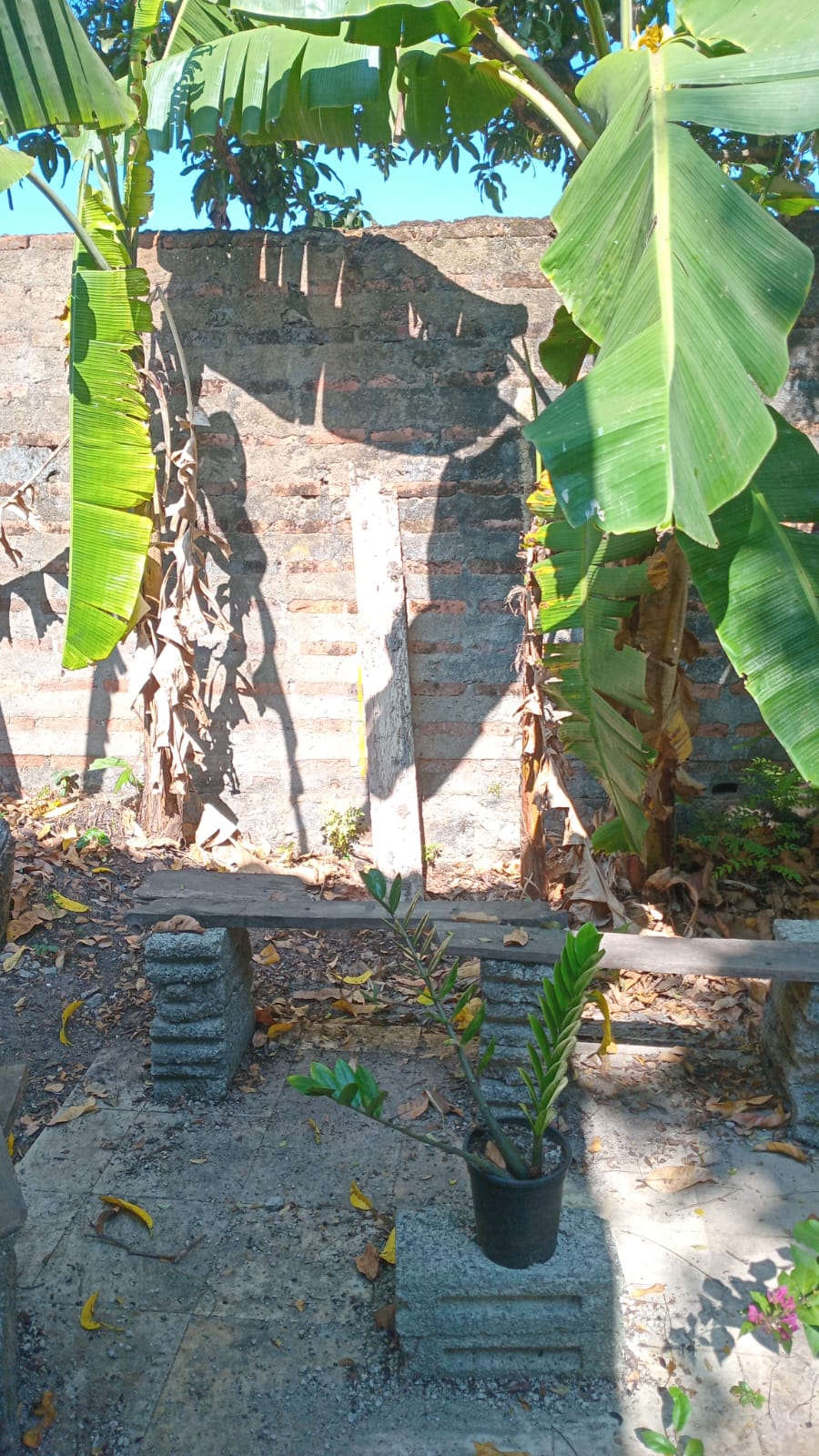 Highly Residential Land for Sale Dalugama