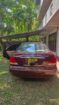 Nissan Sunny 2008