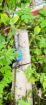 House with Land for Sale in Seeduwa