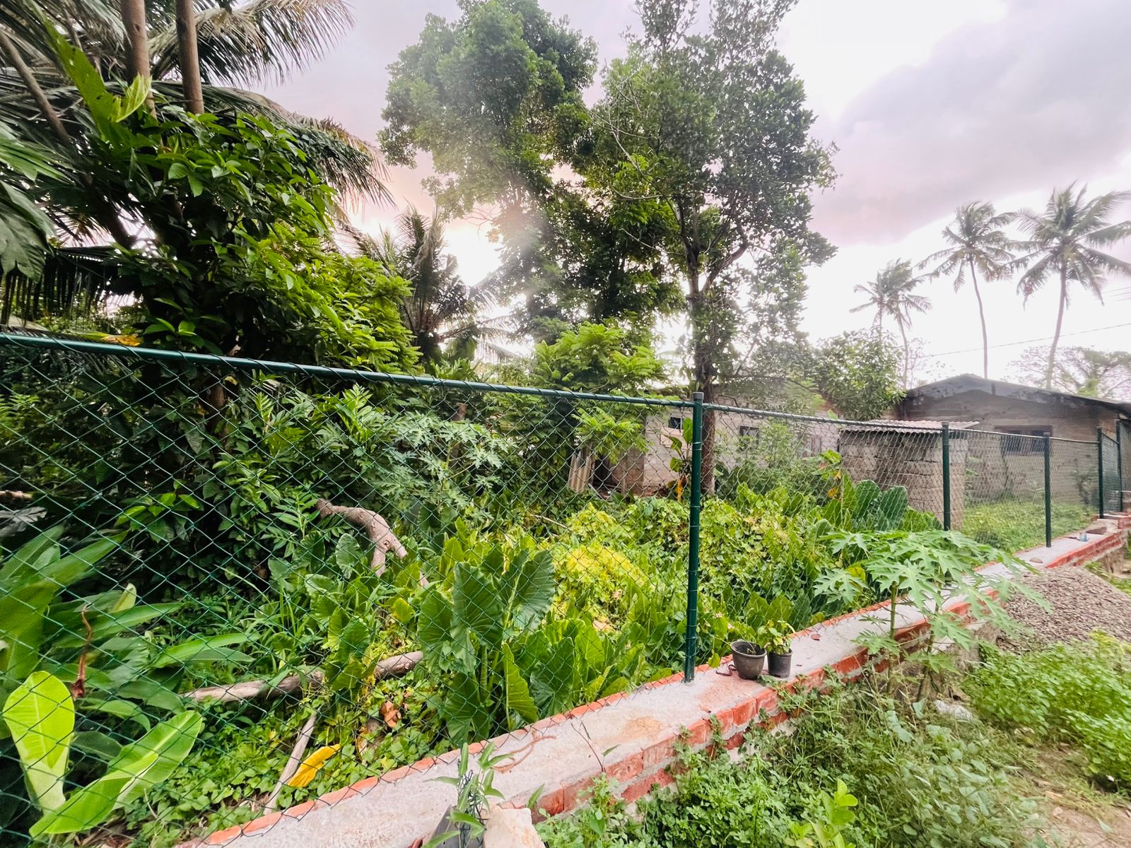 House with Land for Sale in Seeduwa