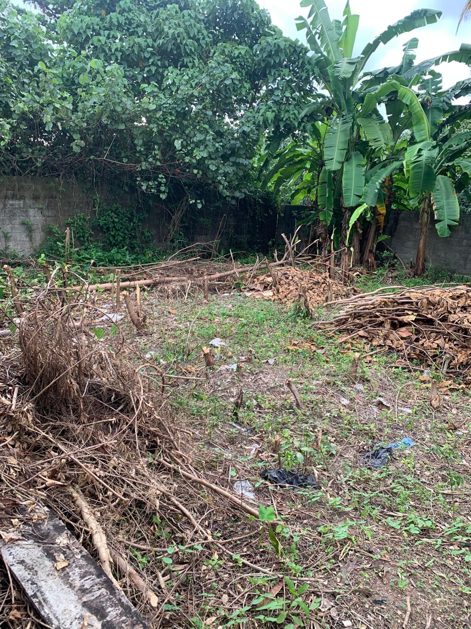 Land for Sale In Rajagiriya