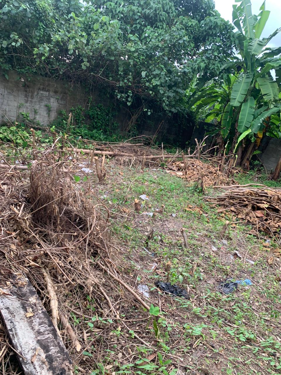 Land for Sale In Rajagiriya