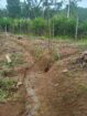 Land for Sale in Diyathalawa, Bandarawela