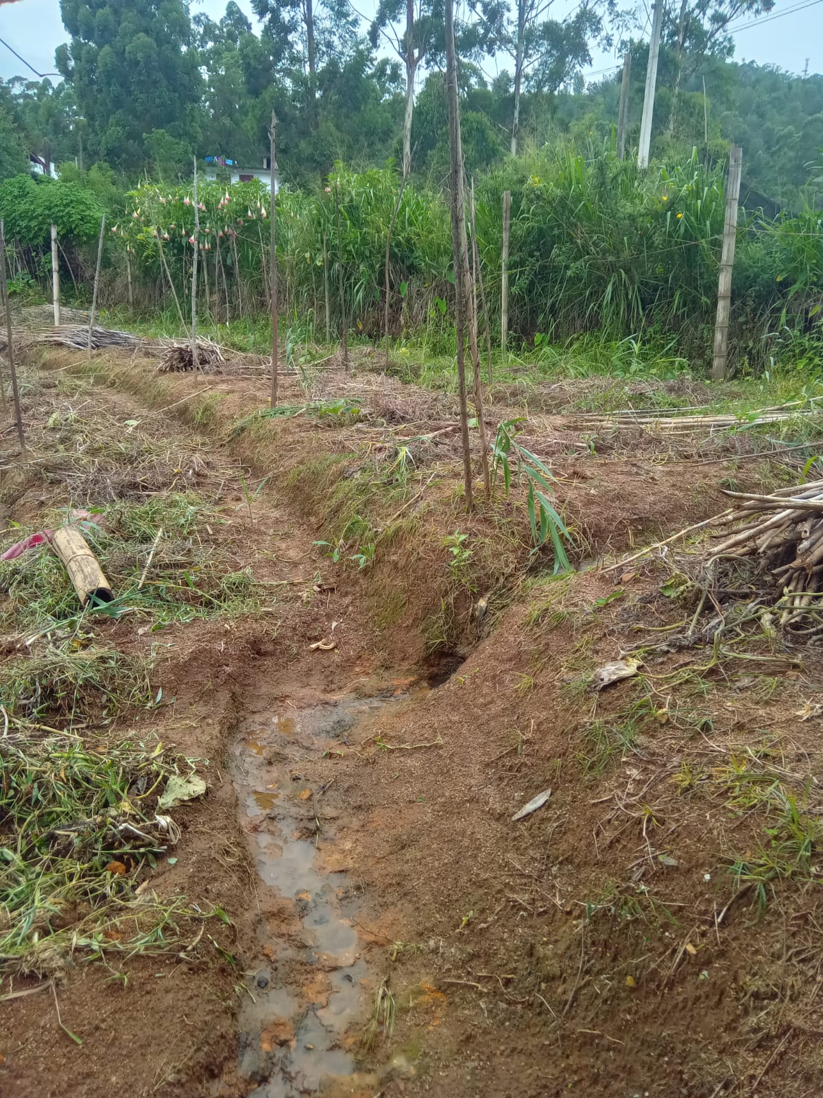 Land for Sale in Diyathalawa, Bandarawela