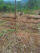 Land for Sale in Diyathalawa, Bandarawela