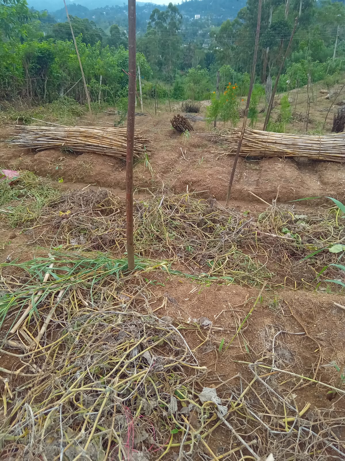 Land for Sale in Diyathalawa, Bandarawela