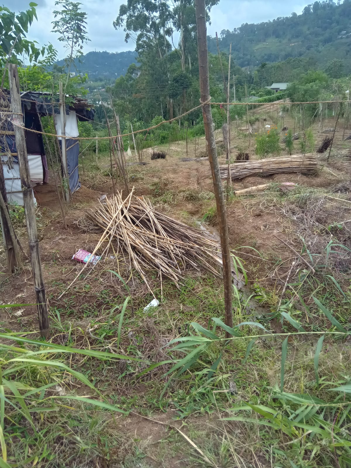 Land for Sale in Diyathalawa, Bandarawela